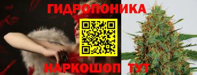 хмурый Малгобек