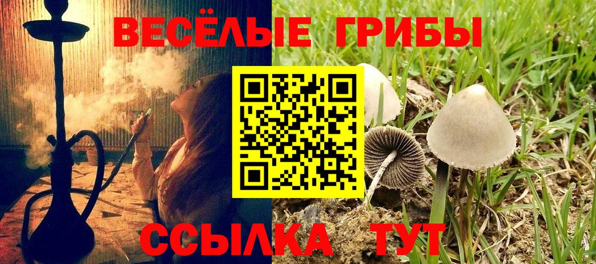 Углич  Галлюциногенные грибы ЛСД  Вход с VPN 